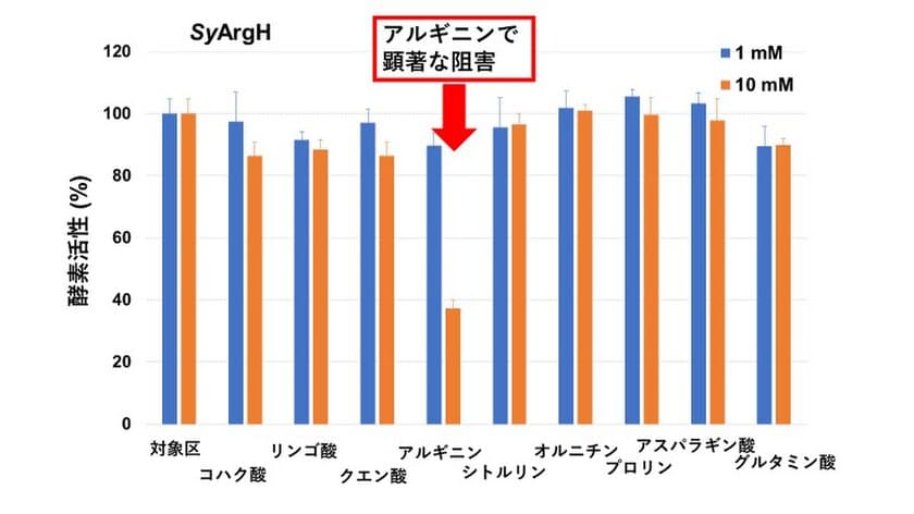 ラン藻のアルギニン合成酵素がアルギニンに阻害されることを発見