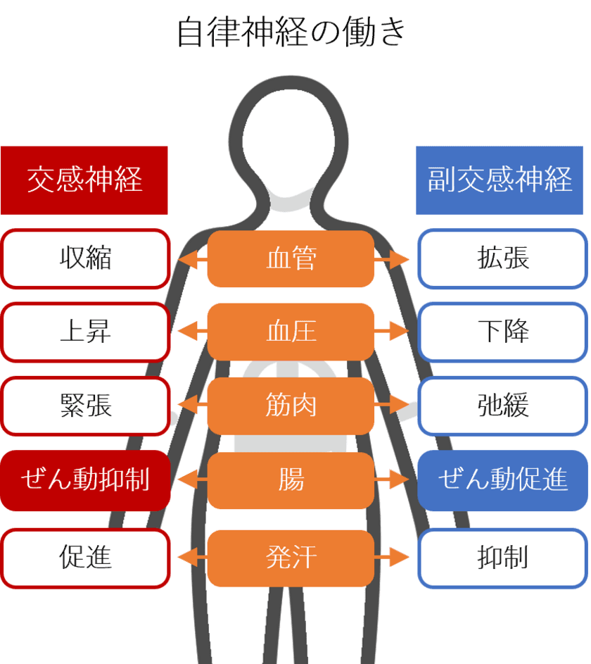 季節の変わり目は、便秘に要注意！
腸内細菌が働く“オフィス”を綺麗に　
「大腸劣化」の悪影響に関する
小林 暁子先生監修の新着コラムを公開