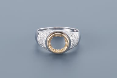 no.13 T RING