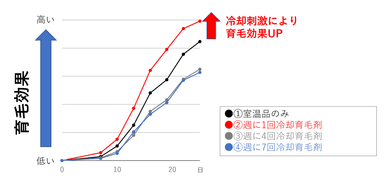 図2：週に1回の冷却刺激により育毛効果が向上