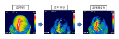 図4：冷却育毛剤により、毛髪・頭皮の温度低下の継続を確認