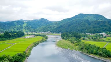 自然豊かな川と田んぼ