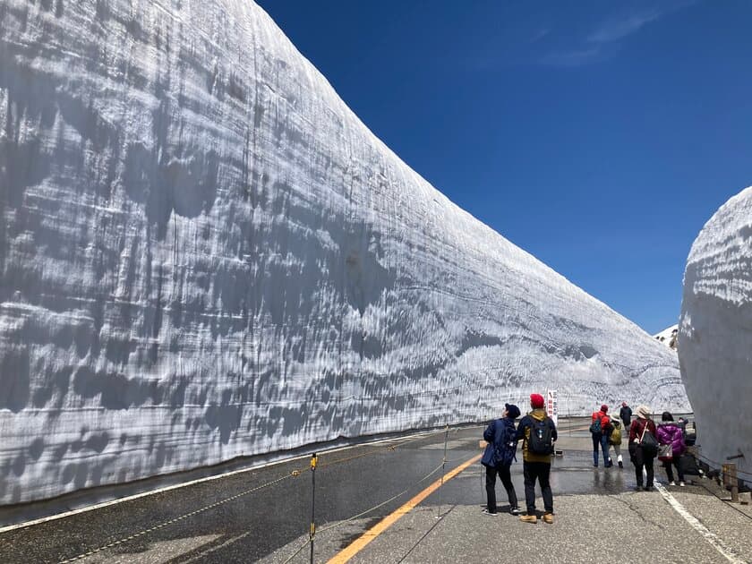 立山黒部アルペンルート、6月30日まで利用できる
お得なキャンペーンきっぷとプランをインターネットで販売中！