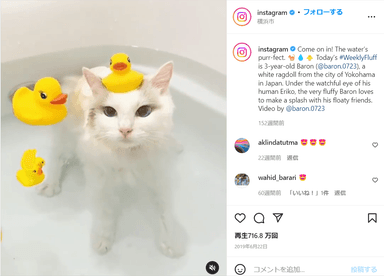 インスタで700万以上のイイね！