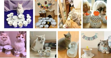 猫壱ハッピーダイニング食器の投稿写真