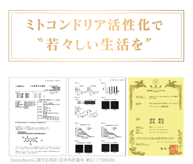 ミトコンドリア活性2