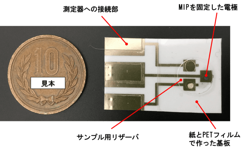 ハイリスク薬の血中濃度をリアルタイムに検出する
使い捨てセンサチップを開発