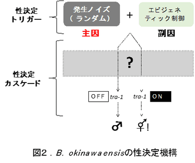 図2