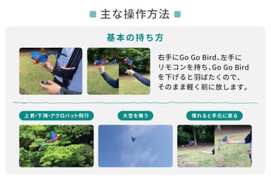 Go Go Bird操作