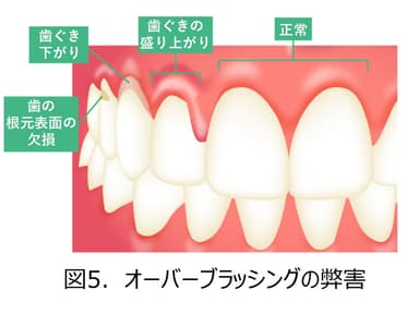 図5