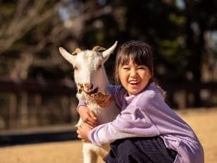 ふれあい動物園(イメージ)