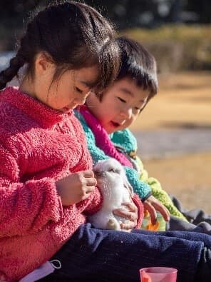 ふれあい動物園(イメージ)