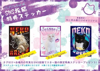 スター猫オリジナルステッカーを限定配布！