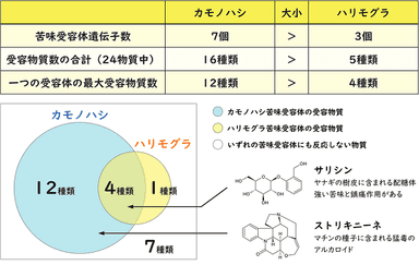 図3.カモノハシとハリモグラの苦味受容体の機能差