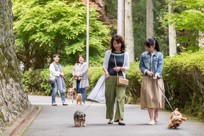 ドッグランやワンコお守りなど愛犬とともに参拝を歓迎する取組を
日本遺産・西国三十三所の古刹が実施し来場者(犬)数が10倍に増加