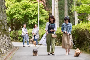 ワンちゃんと境内を散歩