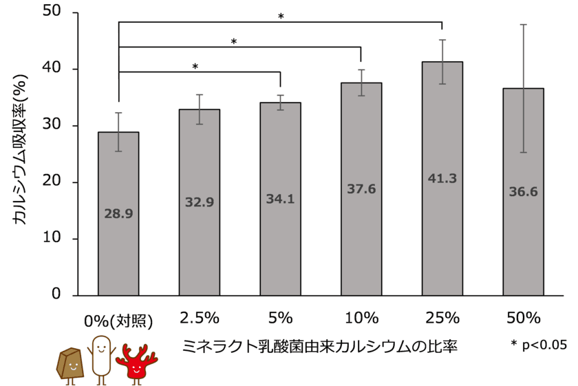 黒糖とサンゴカルシウムの植物性乳酸菌発酵物である
ミネラクト乳酸菌でカルシウム吸収促進効果を確認