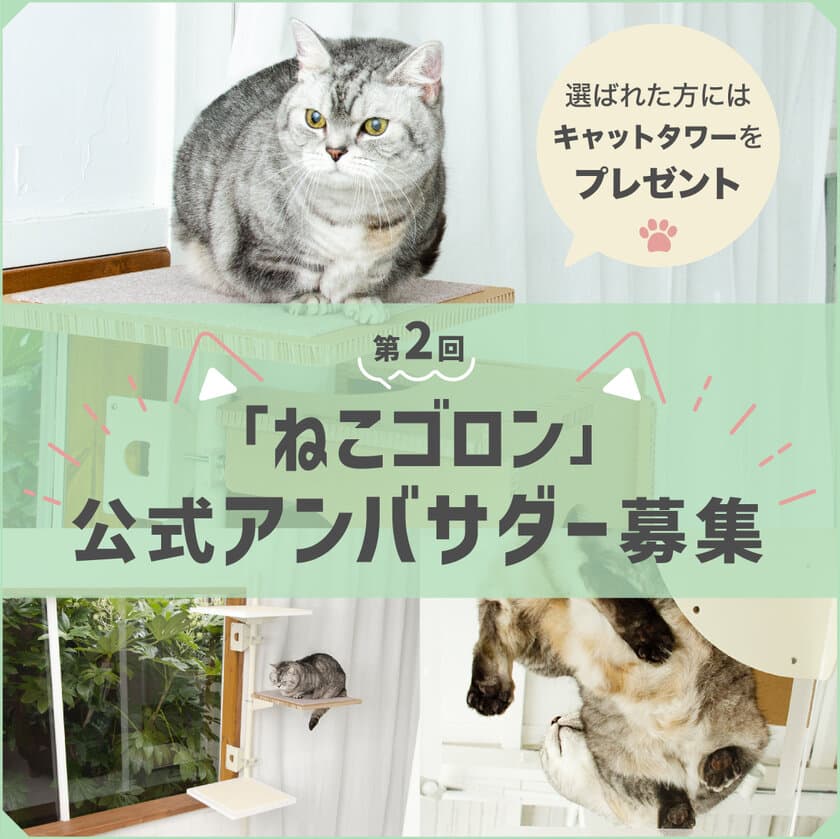 窓枠取り付け型キャットタワー「ねこゴロン」　
Instagramにて第2回公式アンバサダーの募集を開始