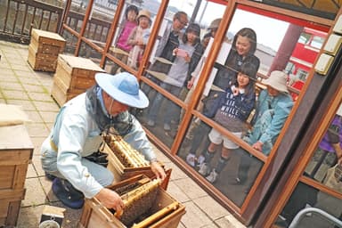 ぷち養蜂場1