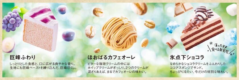 【コメダ珈琲店】
季節のケーキを6月29日(水)より季節限定で販売開始　
～-18℃のひんやり冷たいチョコレートケーキ
「氷点下ショコラ」など3種が登場～