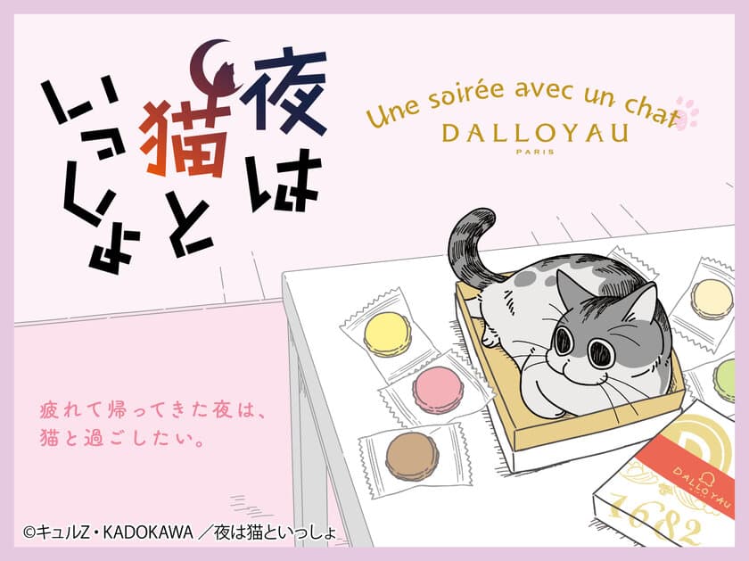 猫の“キュルガ”が話題の「夜は猫といっしょ」と
フランス洋菓子ブランド「ダロワイヨ」がコラボ！
オリジナルイラストが入った期間限定商品を7/19に発売！