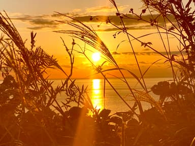 西伊豆海底熟成場所の夕陽