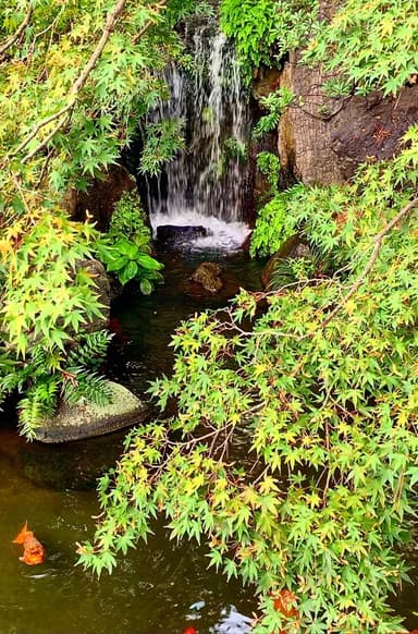 西新井大師 總持寺　庭園