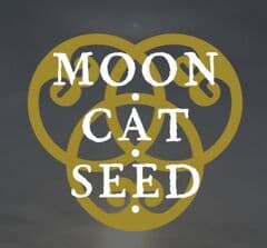 Moon・Cat・Seed・