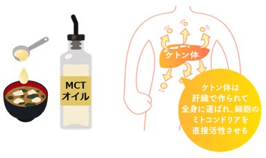 MCTオイルで手軽にミトパワーUP！