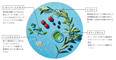 「リコバリア」内からの紫外線対策に必要な、4つの植物成分。