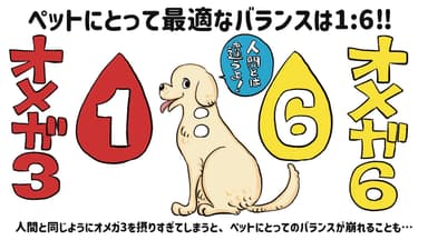 動物と人とはバランスが違う