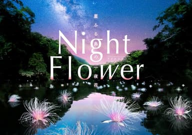 Night Flower作品