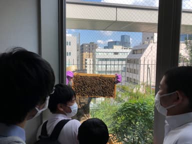 SGBees!! 生徒たちへの紹介