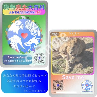 「Save me Card」(参考画像)