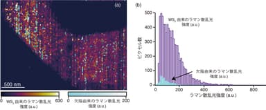 図3　長時間超解像ラマンイメージングによるWS2の大面積欠陥解析