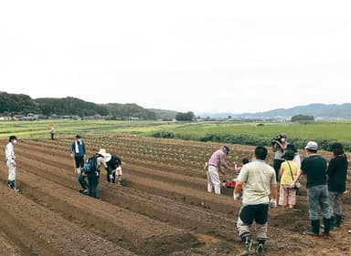 農業体験会