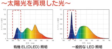 太陽光を再現した光