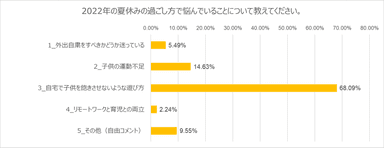 夏休みの過ごし方で悩んでいることについて(2022年)