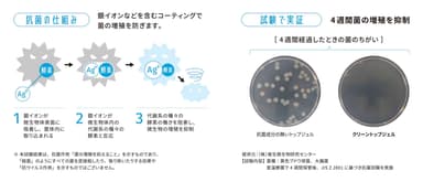 4週間にわたり菌の増殖を抑制