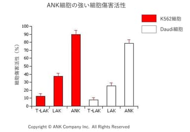 ANK細胞の強い細胞傷害活性