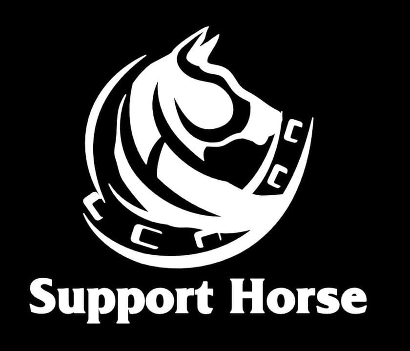 家事代行予約ができるWEBサイトを準備中　
『HouseKeeping by Support Horse』を9月に開設