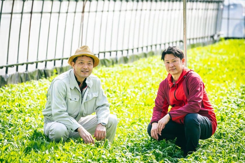 食べる事で食品ロスを無くす、規格外 有機野菜から作った
安心安全な「葉菜ペースト・ピューレー」を販売開始