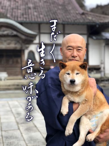 老犬介護　ありし日の寺犬ナナ