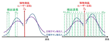 図1　回転ラマン散乱光スペクトルの検出方法。左：干渉フィルターを用いた分光検出(従来手法)、右：多波長分光検出器を用いた分光検出(本手法)