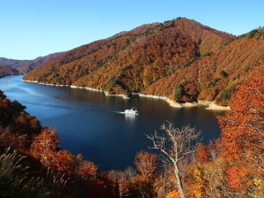 奥只見湖紅葉(全景)