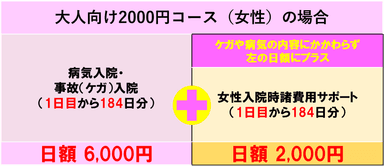 大人向け2000円コース(女性)の場合