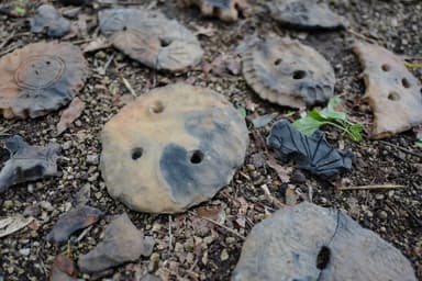 《ホロケナシ - 土地の記憶》野生の学舎 展示イメージ