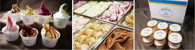 gelateria citta(ジェラテリア チッタ)