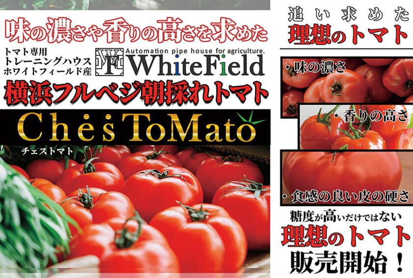 最先端スマート農業を活用し
“横浜で最高のトマトづくり”を目指す「WHITE FIELD」、
そこで生まれたトマト「チェストマト」を原材料とした
「チェストマトジュース」を5名様にプレゼント！