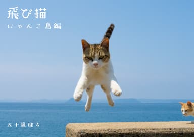 飛び猫(R)　五十嵐健太